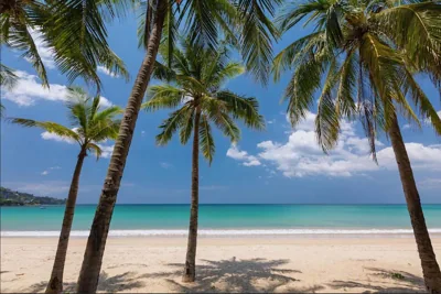 Relax & Recharge in Modern Comfort at the Hill View Tropics Kamala Suite CTG L607 – 사진 9